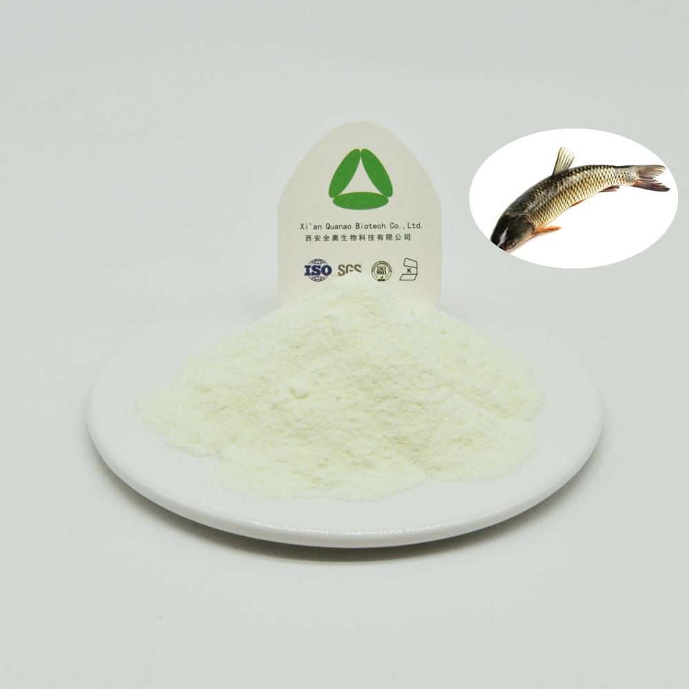 Pó de proteína de colágeno de peixe antienvelhecimento