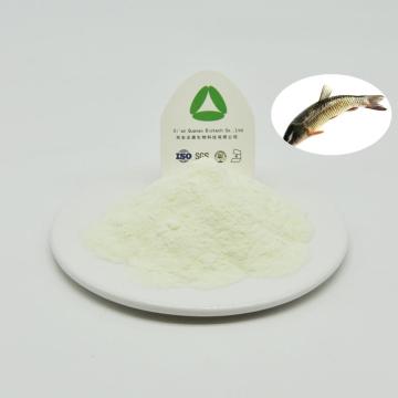 Polvo de proteína de colágeno de pescado antienvejecimiento