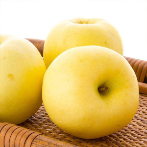 NingXia Nouveau Frais Grande Taille Golden Delicious Price