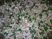 Small Bag Normal White Garlic