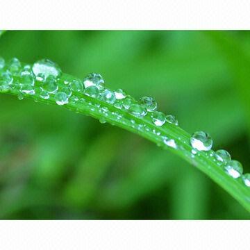 Picture Frame Moldings, Measures 35x45cm