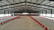 agriculture automatic poultry layers equipment