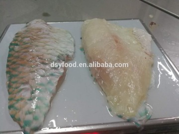 Frozen Parrot Fish Fillet Indonesia