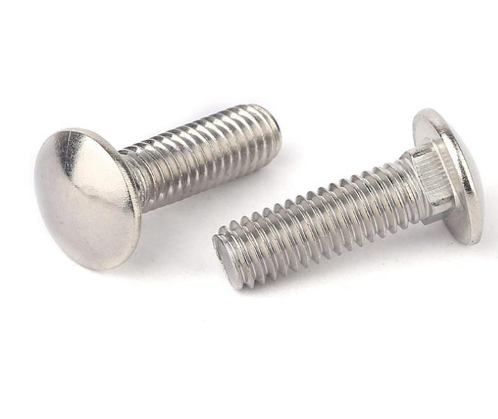 304 DIN603 Carriage Bolt Stainless Steel