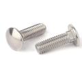 304 DIN603 Carriage Bolt Stainless