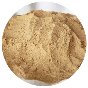 2019 hot sales pure beef meat powder for pizza seasoning powder