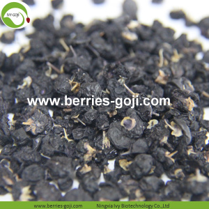 Factory Supply Fruit Healthy Wild Black Goji Berry