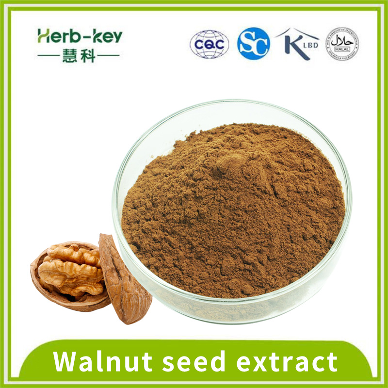 Containing protein 10:1 Walnut seed extract powder