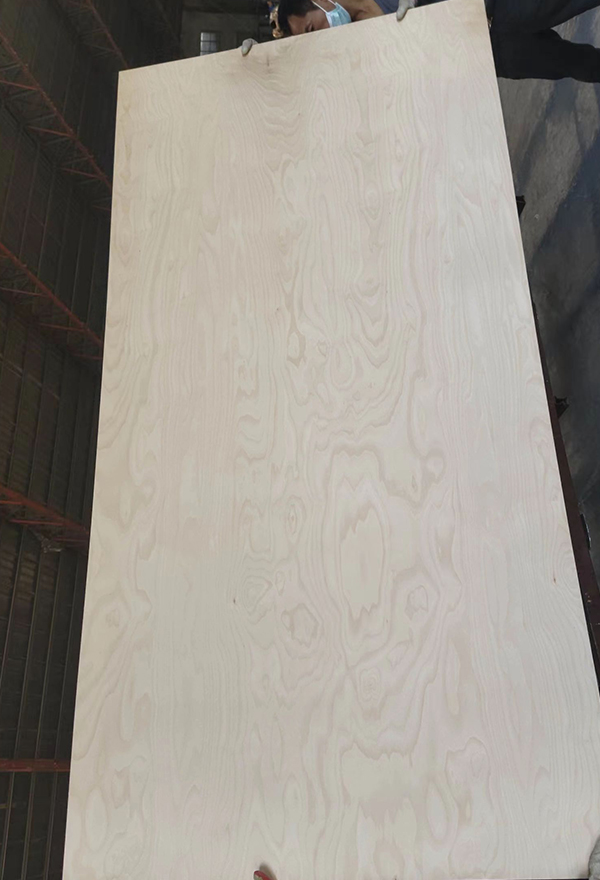 Birch Plywood