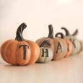 Thanksgiving 6 pcs Hand-Painted Pumpkins Fall House Decor