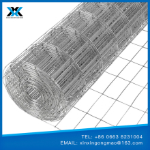 welded wire mesh for fence panel