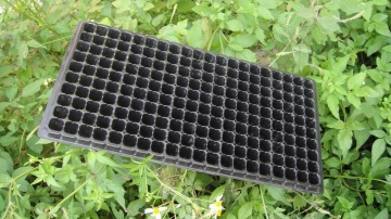 Deep black plastic seedling tray seed germination tray nursery plug Trays