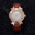 Stainless steel Iced out Lady's watch