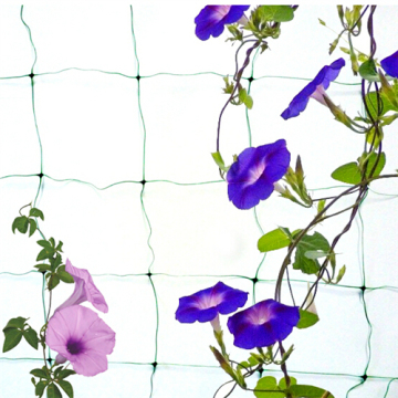 Climbing Net Mesh Nylon Net for Garden Use