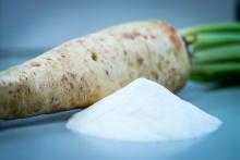 Chicory Root Extract Powder 90% Inulin