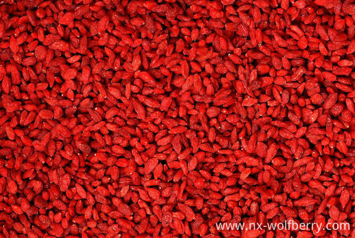 Dried Goji Berry