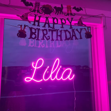 Fast Delivery Custom Neon Signs Drop Ship No Minimum Order for Party Decor