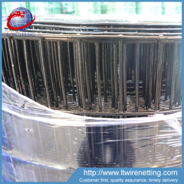 pvc coated welded wire mesh 1x1,green color 1x1 welded wire mesh,coated welded wire mesh