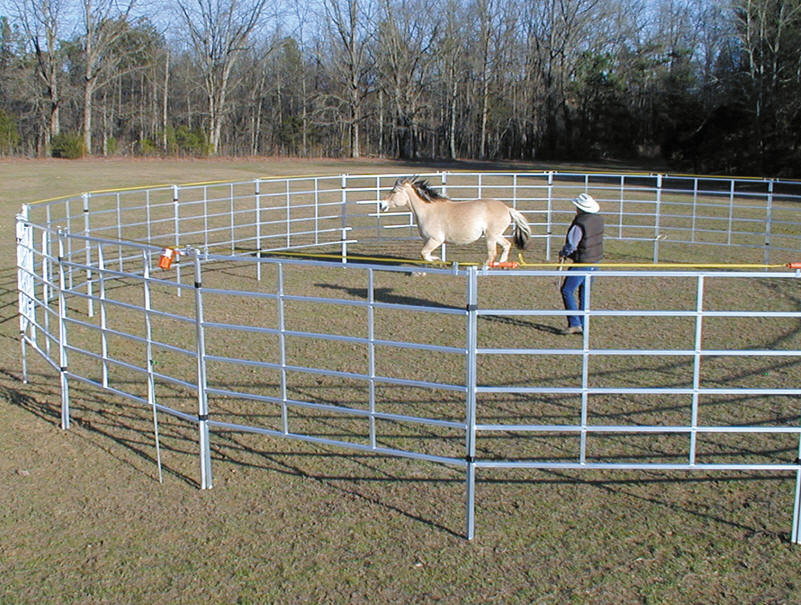 Used Metal Horse Pipe Fencing Panels hot sale