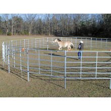 Used Metal Horse Pipe Fencing Panels hot sale