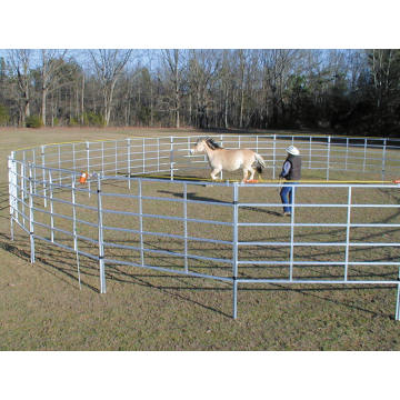 Venta caliente de Metal Horse Pipe Fencing Panels de segunda mano