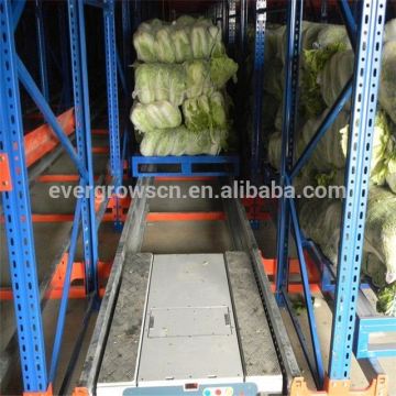 Radio Shuttle Tire Rack Storage Power Coated Pallet Rack Shelving