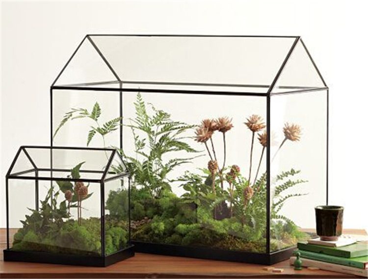 Cool-Mini-glass greenhouse