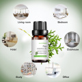 Huile essentielle de thuja soluble pour les soins de la peau