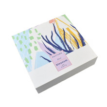 Cosmetic Book-shape Paper Rigid Gift Box