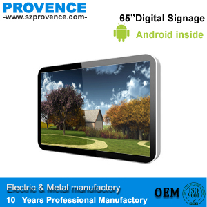 65" (SD card/USB) Standalone LED LCD Advertising Display