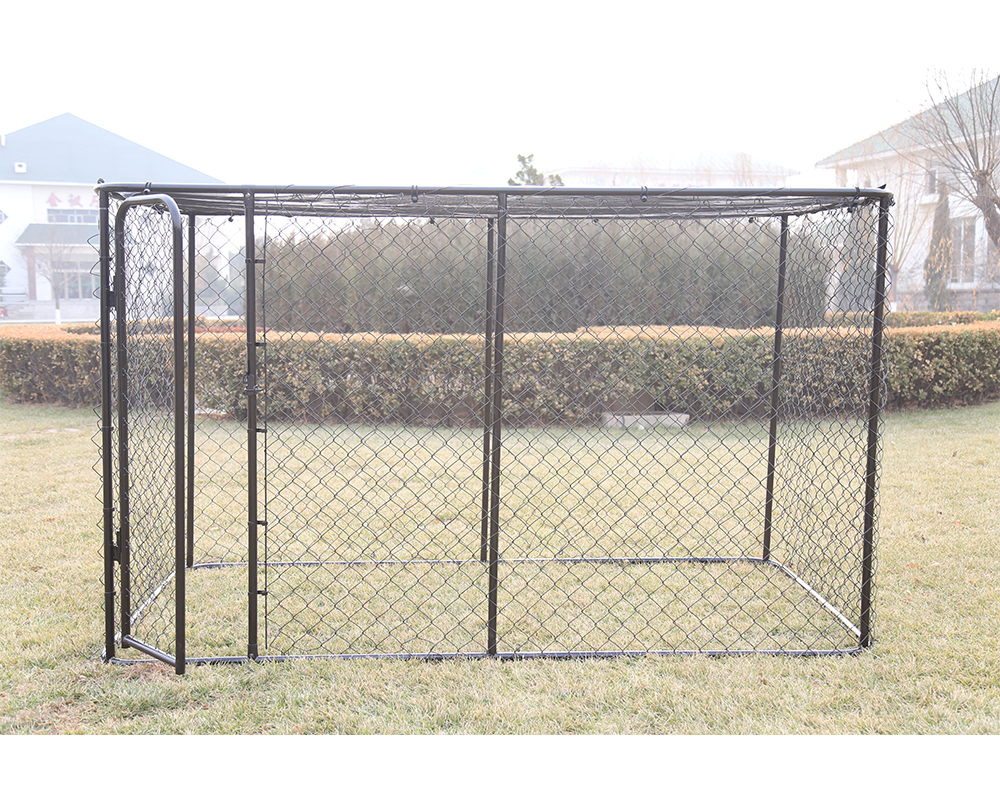 Chenil extérieur pour chien en métal Outdoor Large Metal Pet Dog Kennel