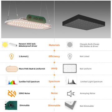 100W Tinggi Par Quantum LED LED Light