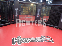 MMA fighting cage