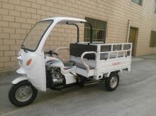 Adult Cargo Three Wheel Bicycle Truck Motorcycle Three Wheel