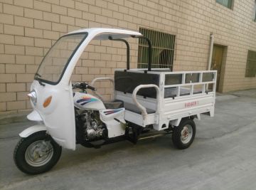 Adult Cargo Three Wheel Bicycle Truck Motorcycle Three Wheel
