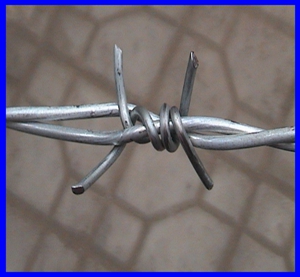 BV/SGS hot dipped galvanized barbed wire