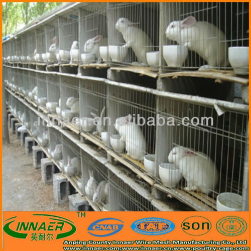 cage rabbit cage with rabbit farming equipment
