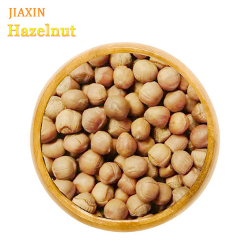 Hazelnut for International Trade Best Quality Filbert Nut