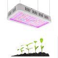 Hydroponic full spectrum cob led grow light