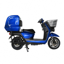 Europe-based Warehouse Electric Motor Scooter Solutions for Delivery Services