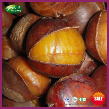 Good CHINA Organic Frozen Cooked Ringent Chestnut