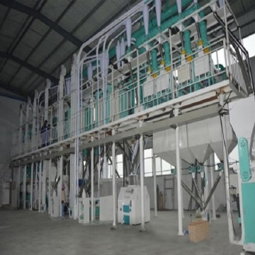 100tpd maize milling plant