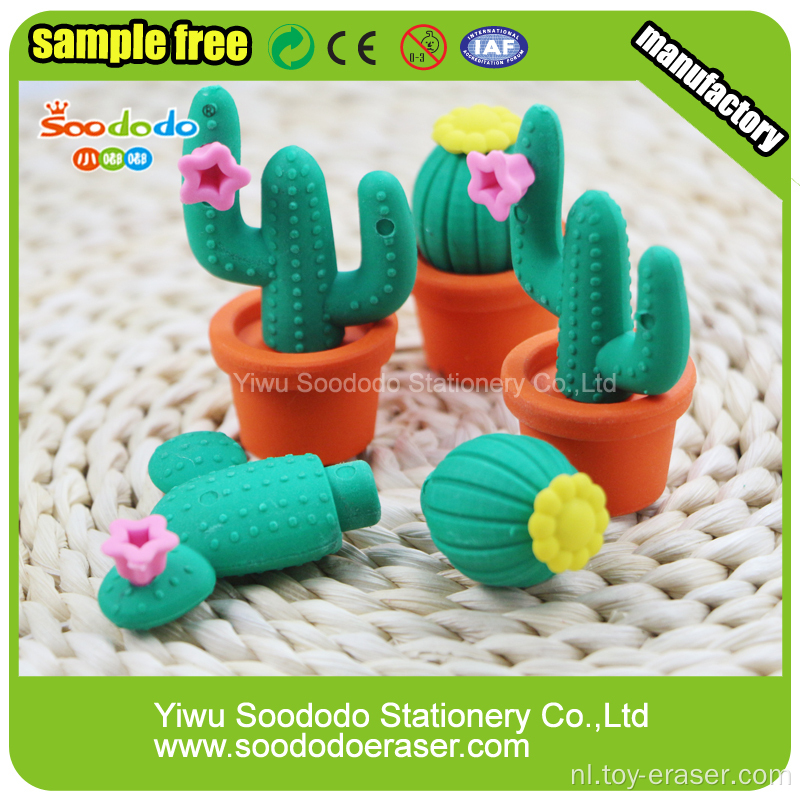 cactus Shaped Eraser, Vlakgomstift puzzel