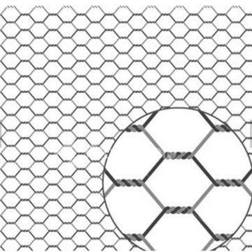 Treillis métallique de poulet hexagonal galvanisé