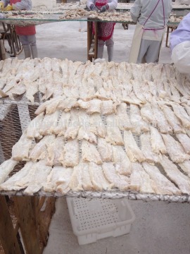 Dry salted pollock fillet