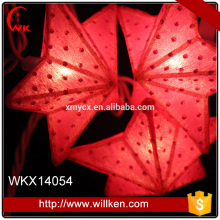 Indoor home warm white christmas string lights