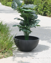 Curved Bowl Round Plant Container