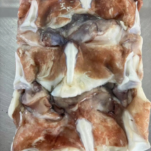 Whole Frozen Squid Necks