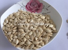 Pumpkin seed