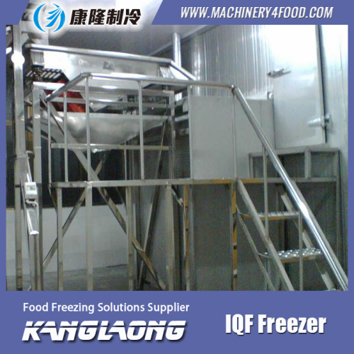 New Brand IQF Frozen Eggplant Freezing Fast Equipment Made In China